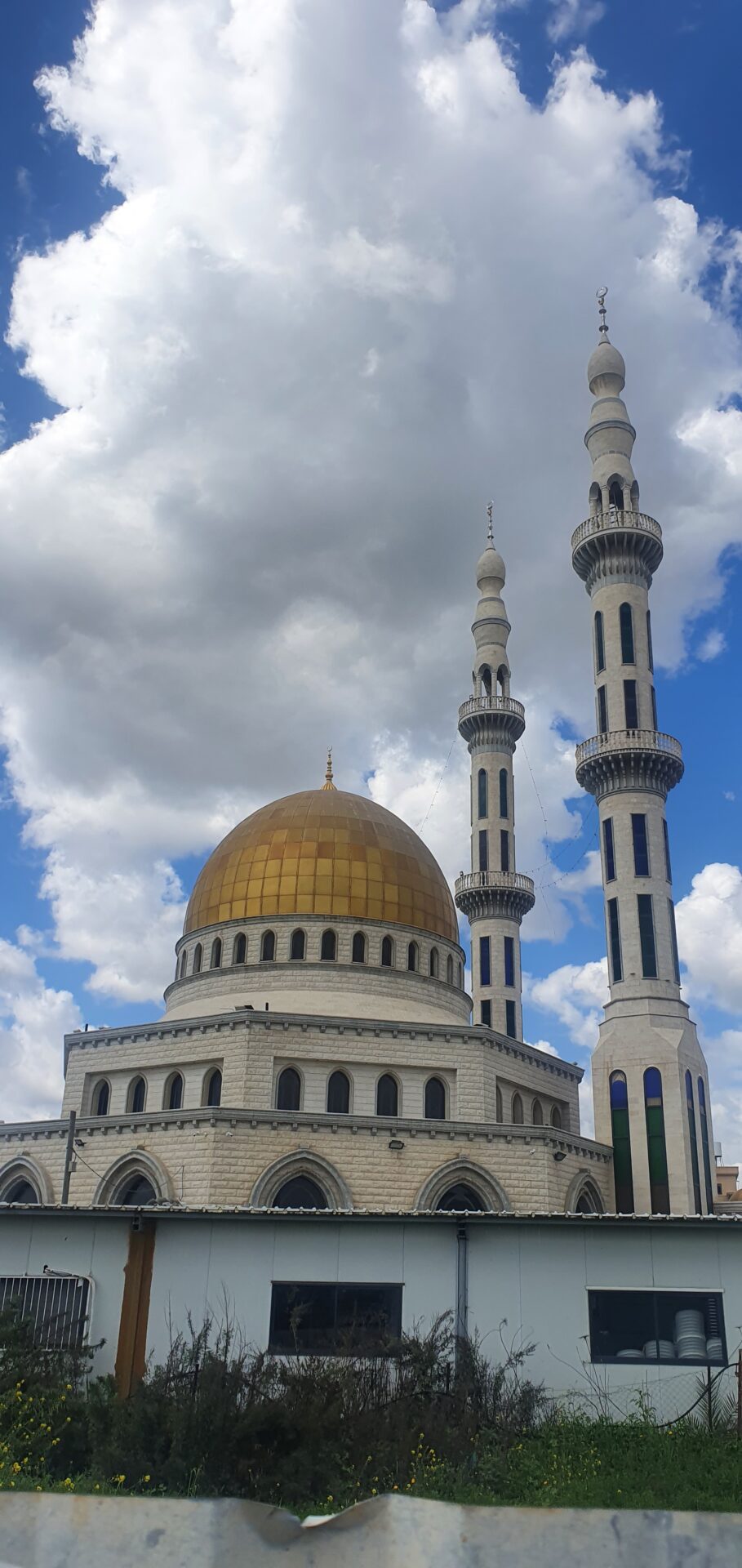 חיים משותפים